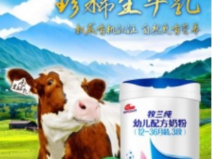 高品质明一有机牧兰纯奶粉，双认证营养更全面！