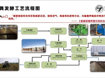 合肥牧场：减“肥”降碳，为地球美好环境“添”绿
