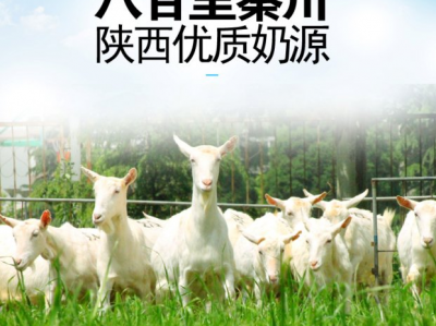 「珍倍健」陕西好羊奶:奶粉好不好,奶源+配料很关键
