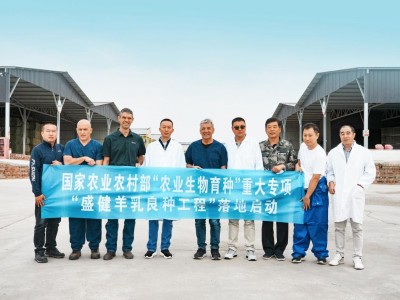 盛健羊乳集团联合国际开展奶山羊育种合作,为我国“农业生物育种”贡献盛健力量