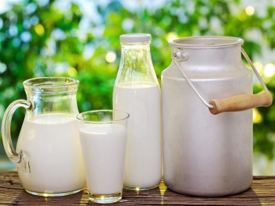 乳业新军A2能否成为“澳洲版”的茅台？