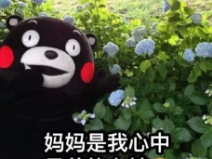 520为妈妈减轻负担,就来选择明一有机牧栏纯奶粉