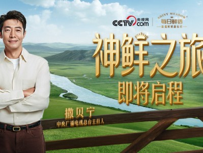 央视镜头下的“中国标杆”：看每日鲜语如何“领鲜世界”